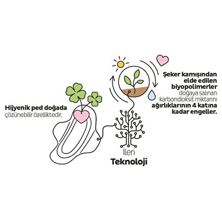 Sleepy Ecologic Premium Plus 64'lü Günlük Ped